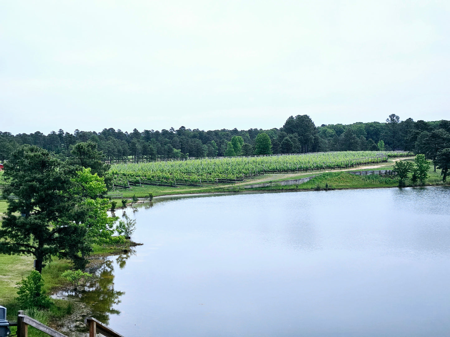 8/30/25 - Afternoon at the Winery - 'Words of Intention' Bracelet Making Workshop + Tarot Readings @ Autumn Lake Winery, Williamstown