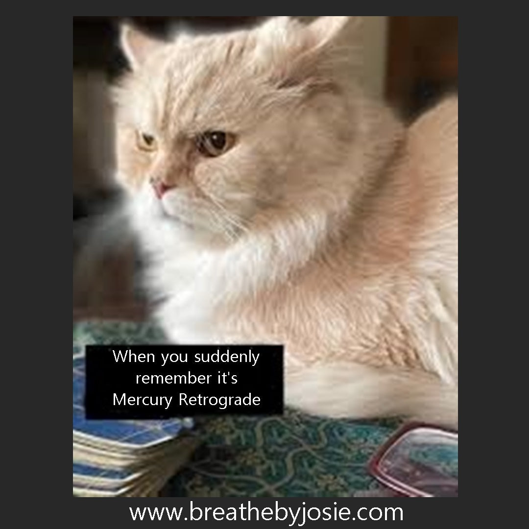 Sat 11/8/25 - Mercury Retrograde Bracelet Making Workshop @ The Venus Moon Crystal Warehouse, Glendora