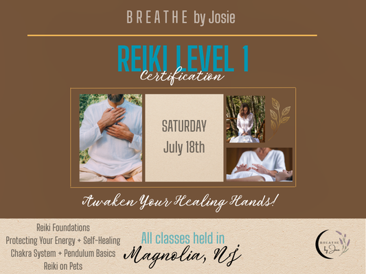 Saturday 7/18/26 - Reiki Level 1 Energy Healing Certification
