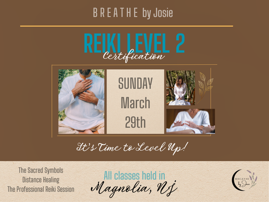 Sun 3/29/26 - Reiki Level 2 Energy Healing Certification