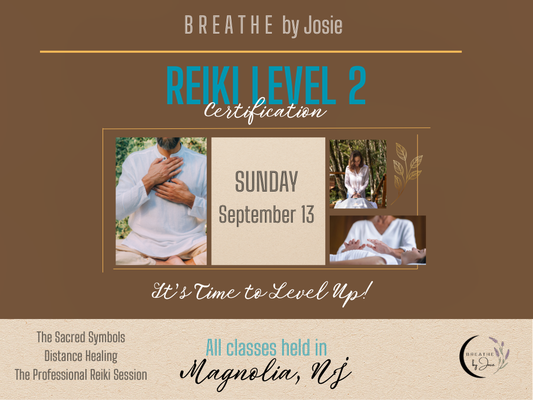 Sunday 9/13/26 - Reiki Level 2 Energy Healing Certification