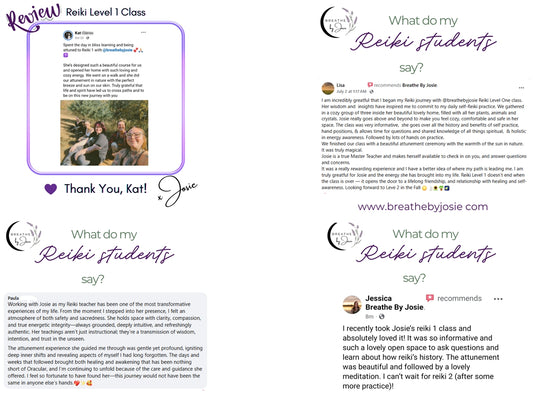 Sunday 8/31/25 - Reiki Level 1 Energy Healing Certification