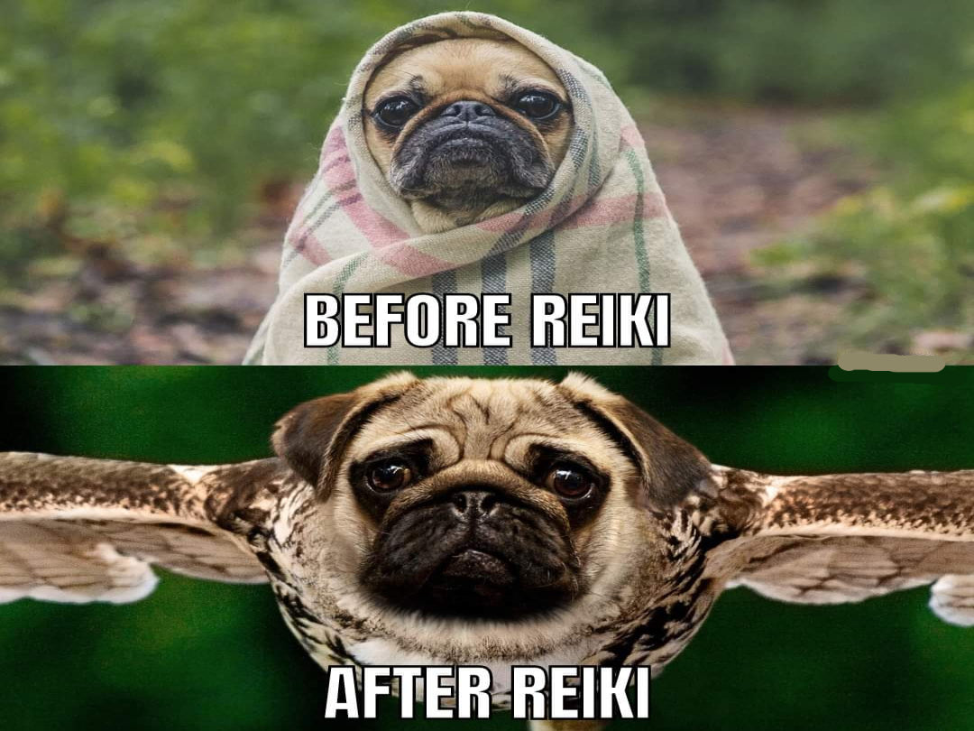 Wednesday 6/17/26 - Reiki Share Circle @ The Venus Moon Crystal Warehouse, Glendora