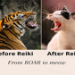 Tues, September 29th - Reiki Share Circle @ The Venus Moon Crystal Warehouse, Glendora