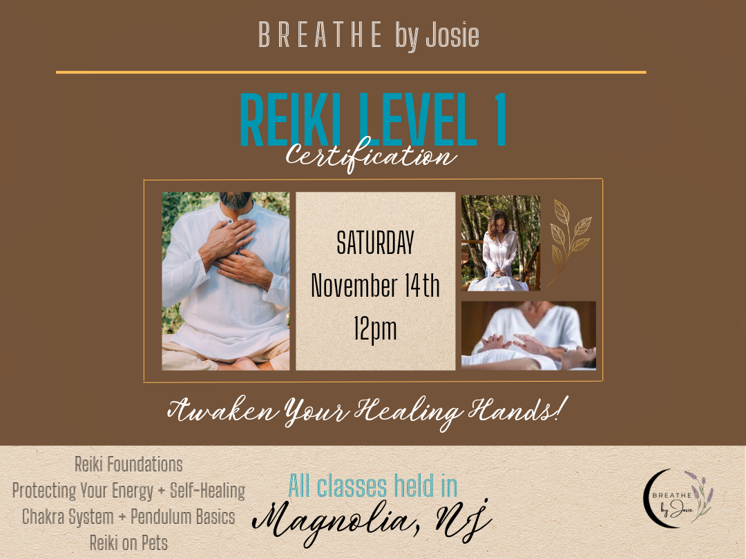 Saturday 11/14/26 - Reiki Level 1 Energy Healing Certification